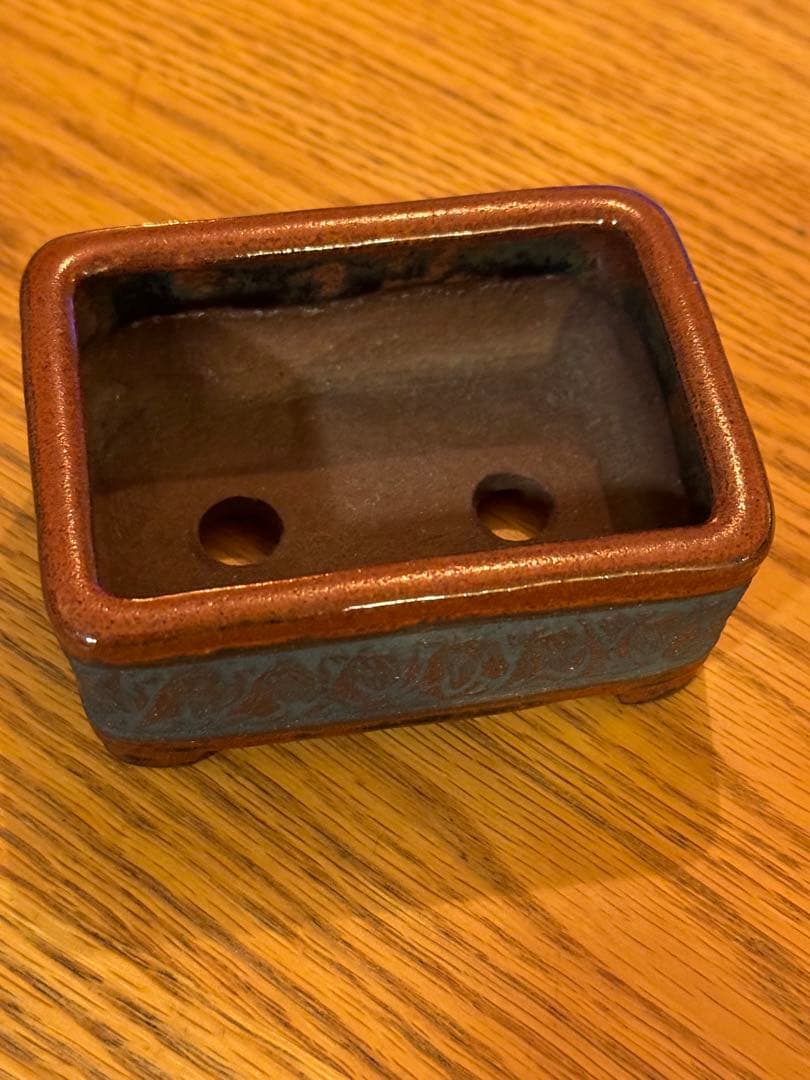 是心　鉢　盆栽