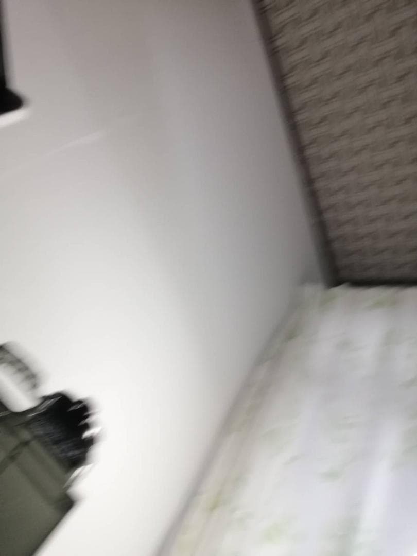 ダイニチ ダイニチプラス HD-LX1019