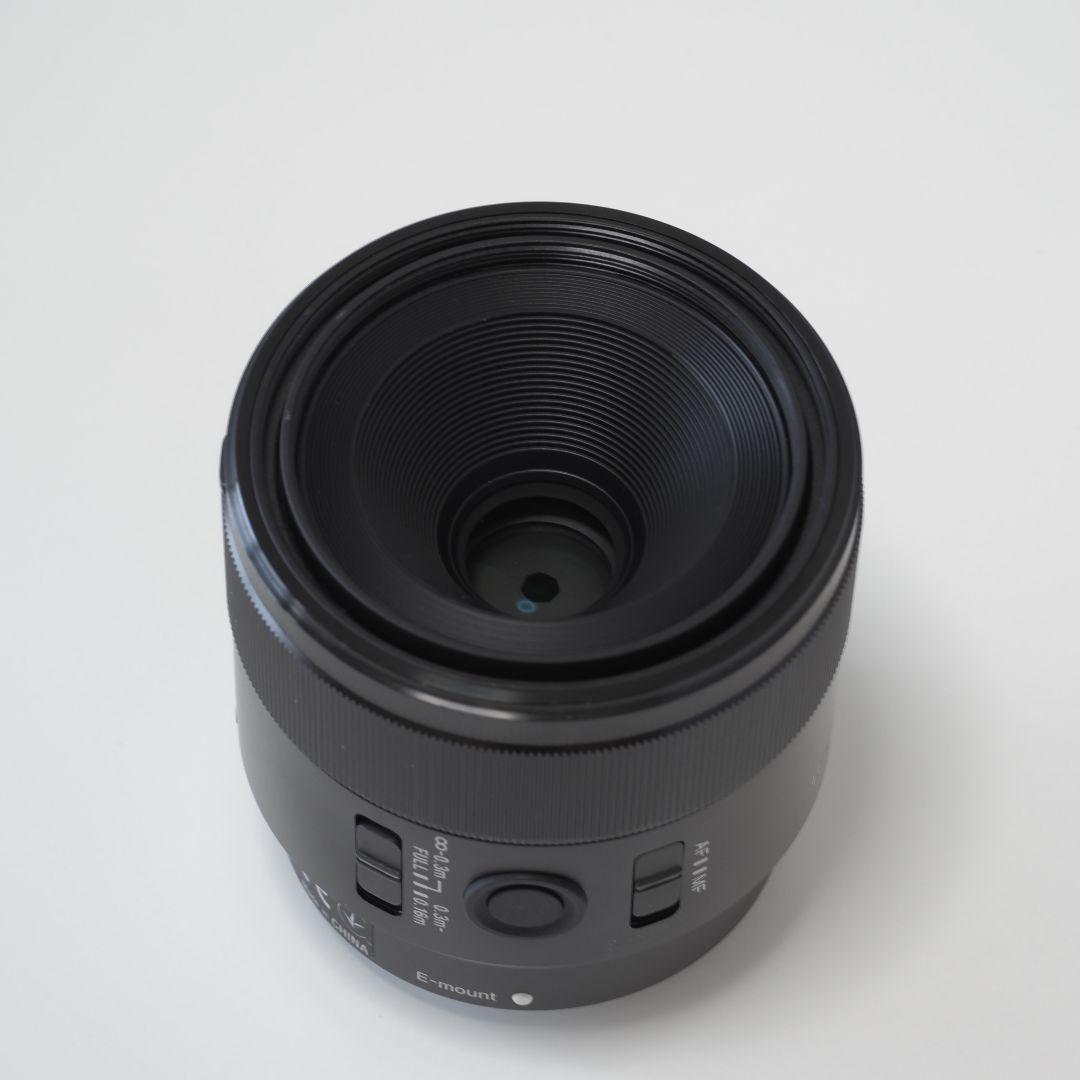 レンズ(単焦点) FE 50mm F2.8 MACRO SEL50M28