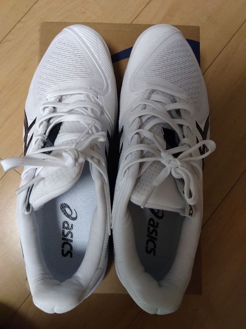 【オムニ・クレー】アシックス　ソリューションスピードFF3　25cm