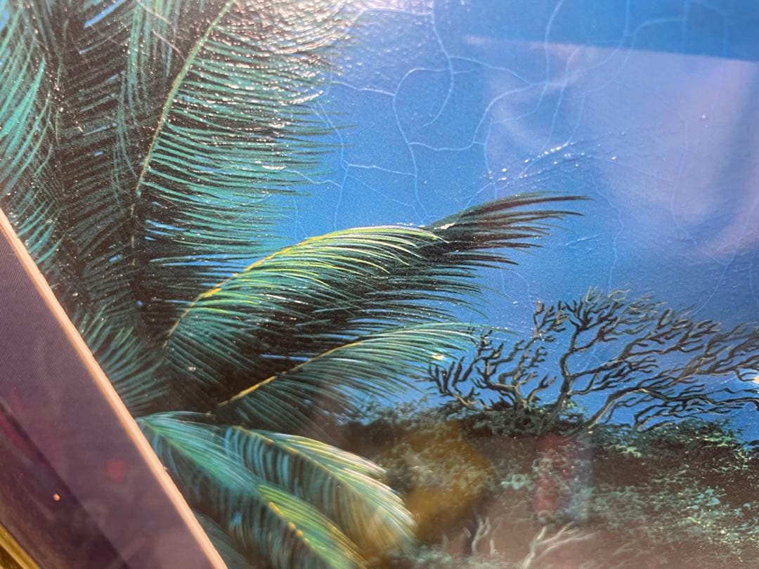 限定版クリスチャンラッセン「ラハイナ スターライト」C/E 2/475額装付き