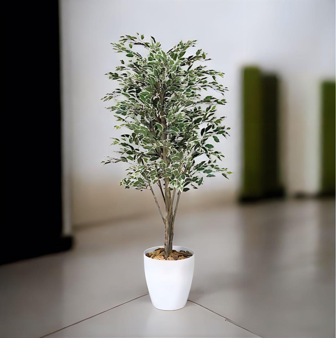 光触媒　人工観葉植物　ウォールグリーン　フェイクグリーン　ベンジャミンフィカスG