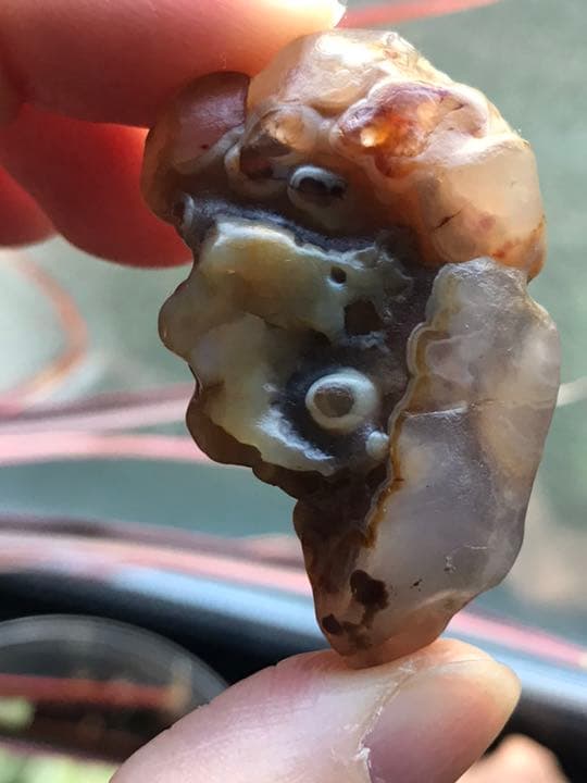 ゴビ石−111 ゴビ瑪瑙 花眼　蜂の巣　原石