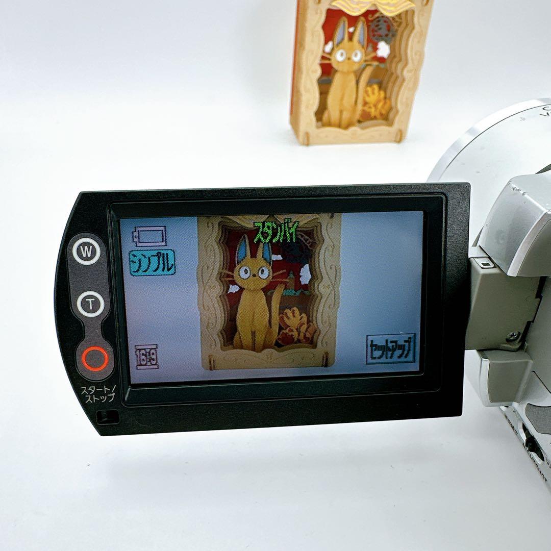 【動作品】 美品 SONY Handycam DCR-SR100 シルバーソニー