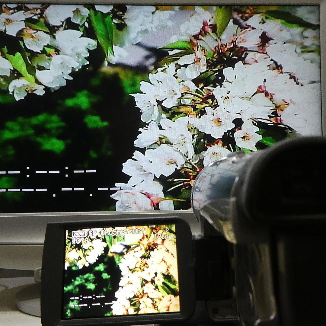 動作良好 パナソニック NV-GS200 MiniDV ビデオ ダビングに最適