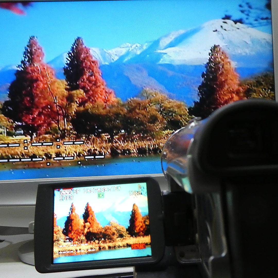動作良好 パナソニック NV-GS200 MiniDV ビデオ ダビングに最適