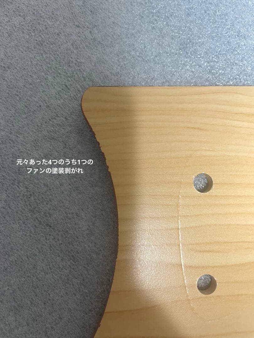 【Tomoka Karita】シーリングファン Windouble 4灯