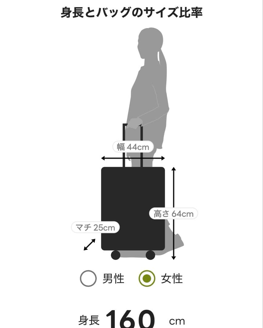 ACE エース　レザートランク風　スーツケース　HaNT ノートル　50L
