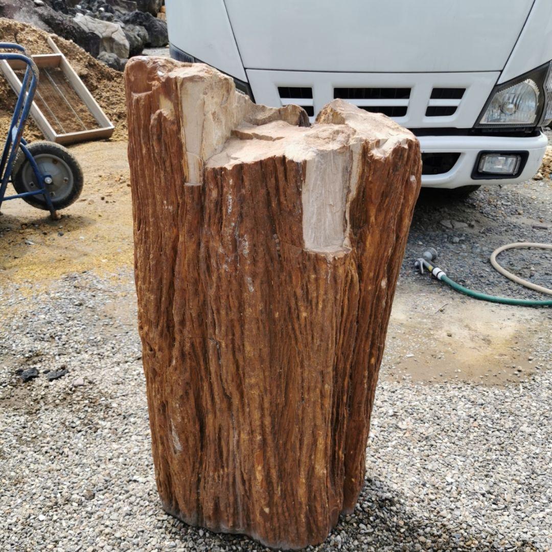 インドネシア産　珪化木　222キロ　木化石　庭石　石　鑑賞石　置物　オブジェ