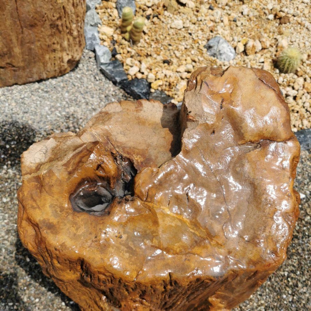 インドネシア産　珪化木　222キロ　木化石　庭石　石　鑑賞石　置物　オブジェ