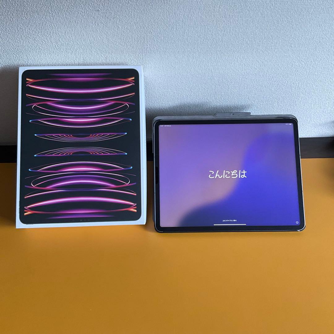 極美品 iPadPro12.9インチ第6世代 Cellular 256GB M2