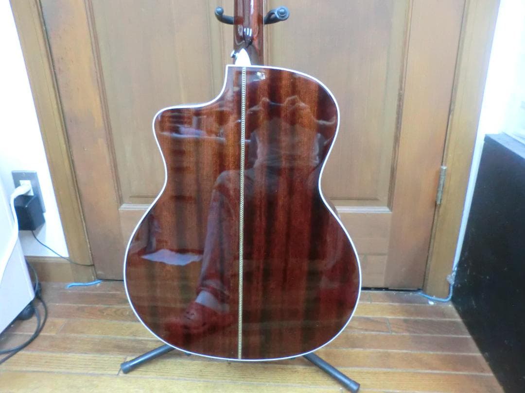 Saga A1G-C オール単板