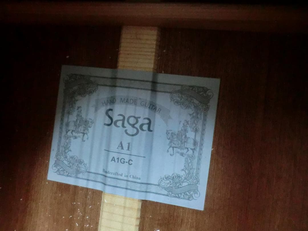 Saga A1G-C オール単板