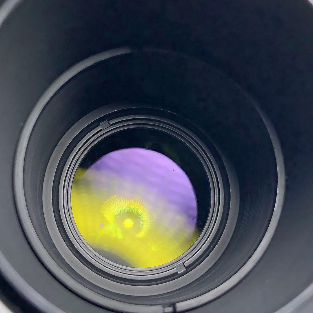 ピンクの猫 さま　CarlZeiss 300mm f4 Y/Cマウント