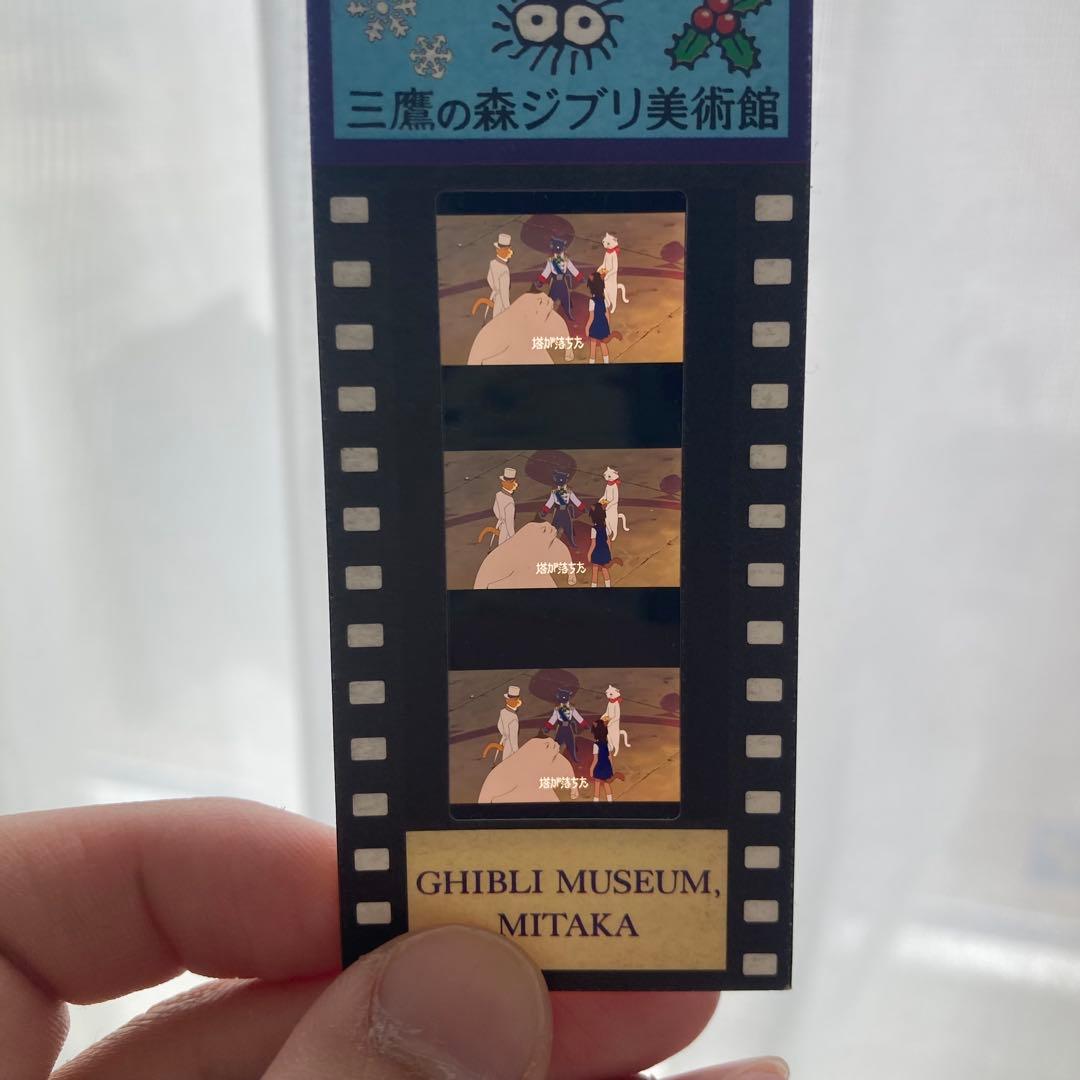 コレクション RAKUTAO 99048