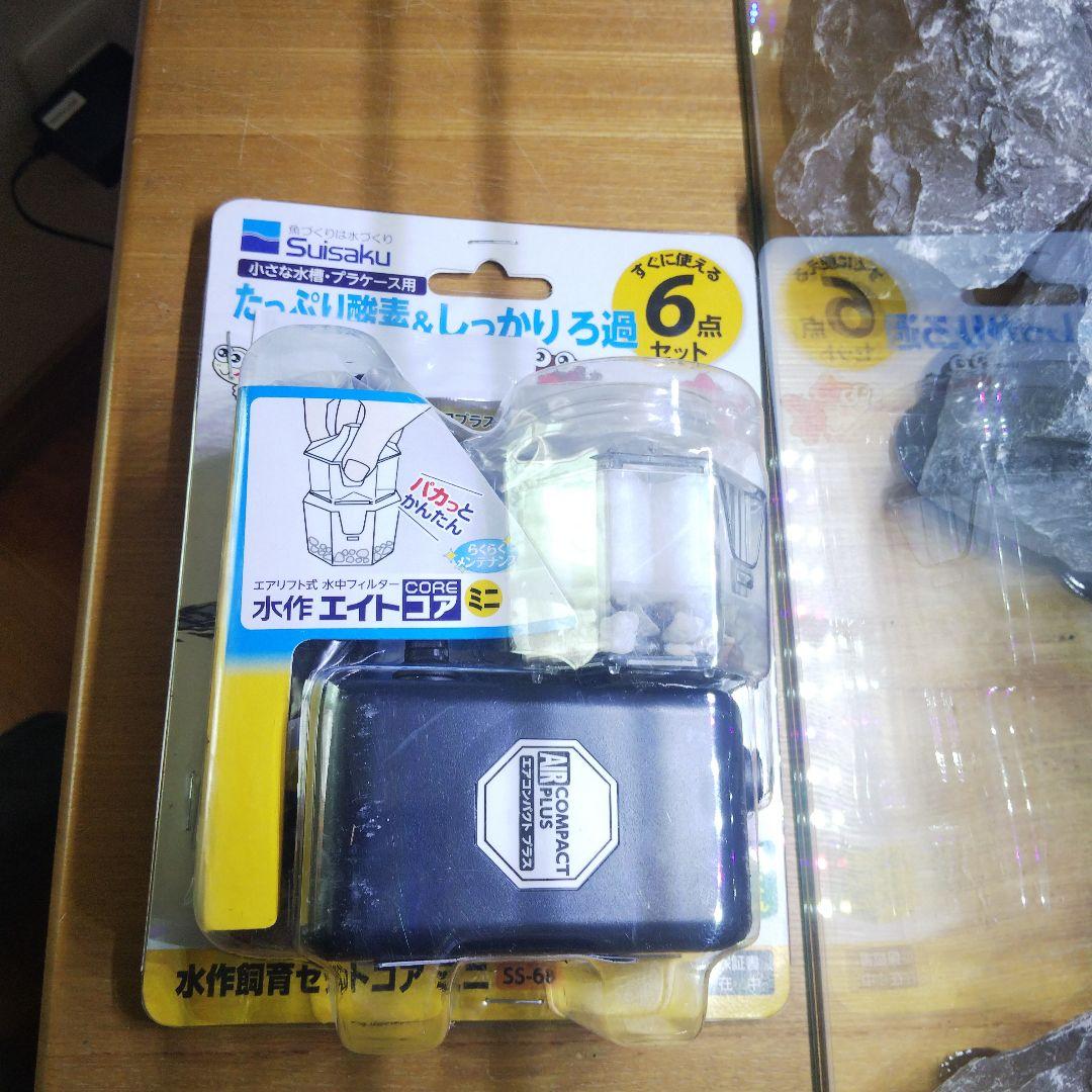 【完成品】アクアテラリウム　イモリウム　苔テラリウム