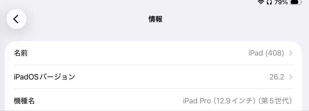 iPad Pro 12.9インチ 第5世代 (M1) 128GB