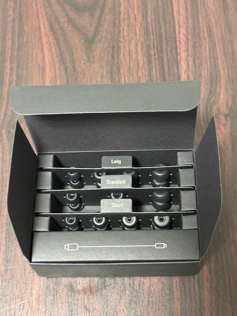 saya　audio-technica ATH-TWX9