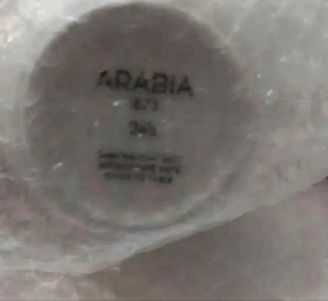 アラビアトゥオキオ　食器6点セット