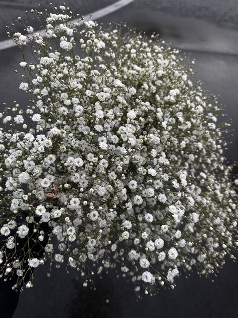 nic様 リクエスト 3点 まとめ商品