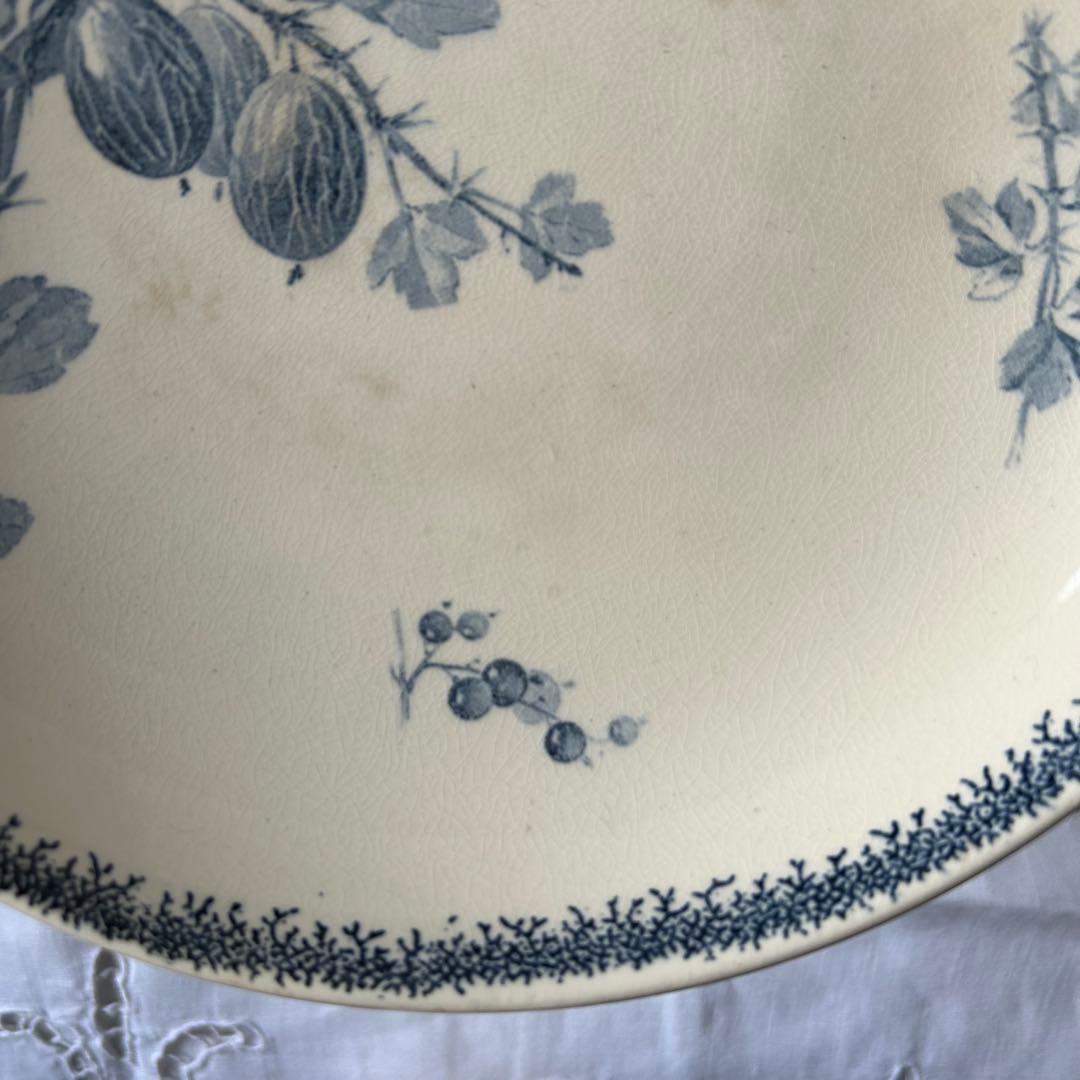 sarreguemines 高台　すぐりの実　グロゼイユ　コンポティエ　フランス