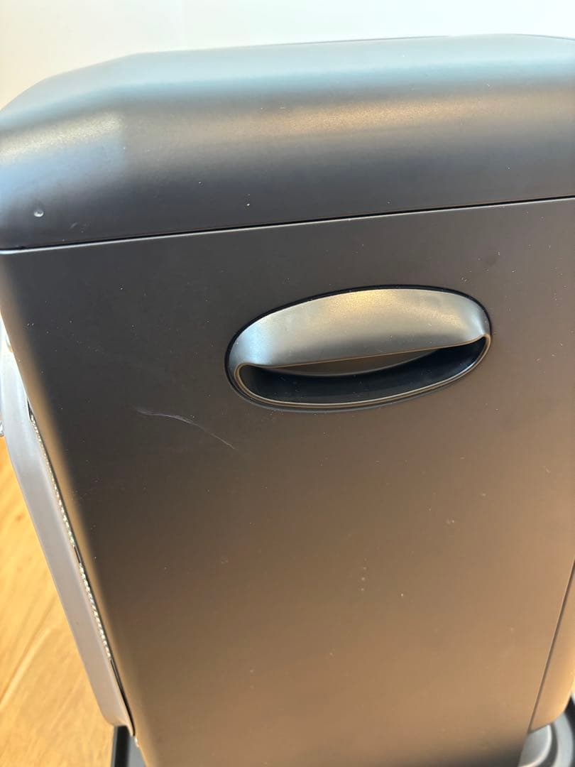 ブルーヒーター FW-2524NE 2024年製 ダイニチ　石油ファンヒーター