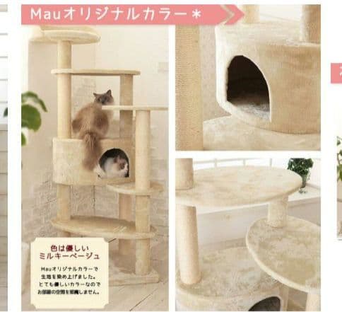 Mau　キャットタワー リッチエッグ