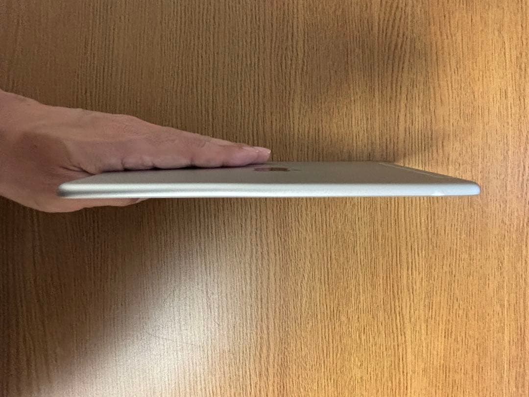 Apple iPad mini 5 セルラー 第5世代 64GB sim解除