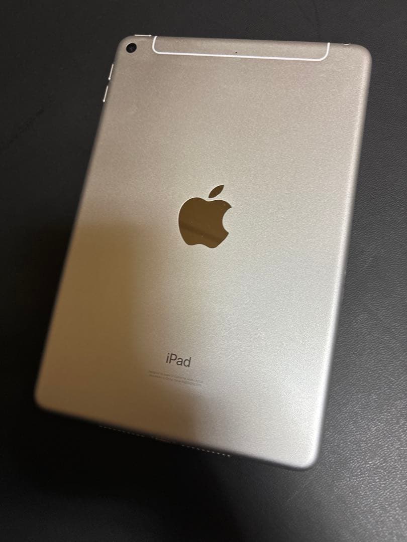 Apple iPad mini 5 セルラー 第5世代 64GB sim解除