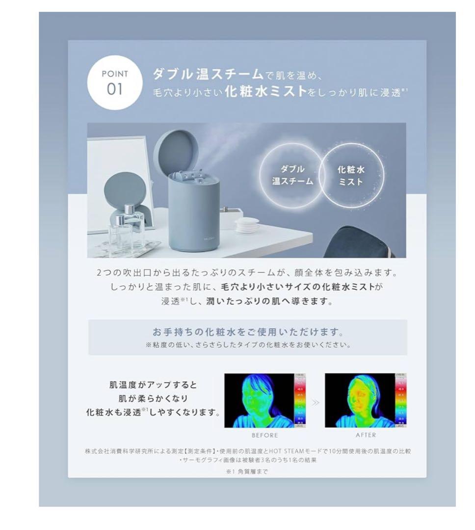 SALONIA PURE BRIGHT STEAMER グレー