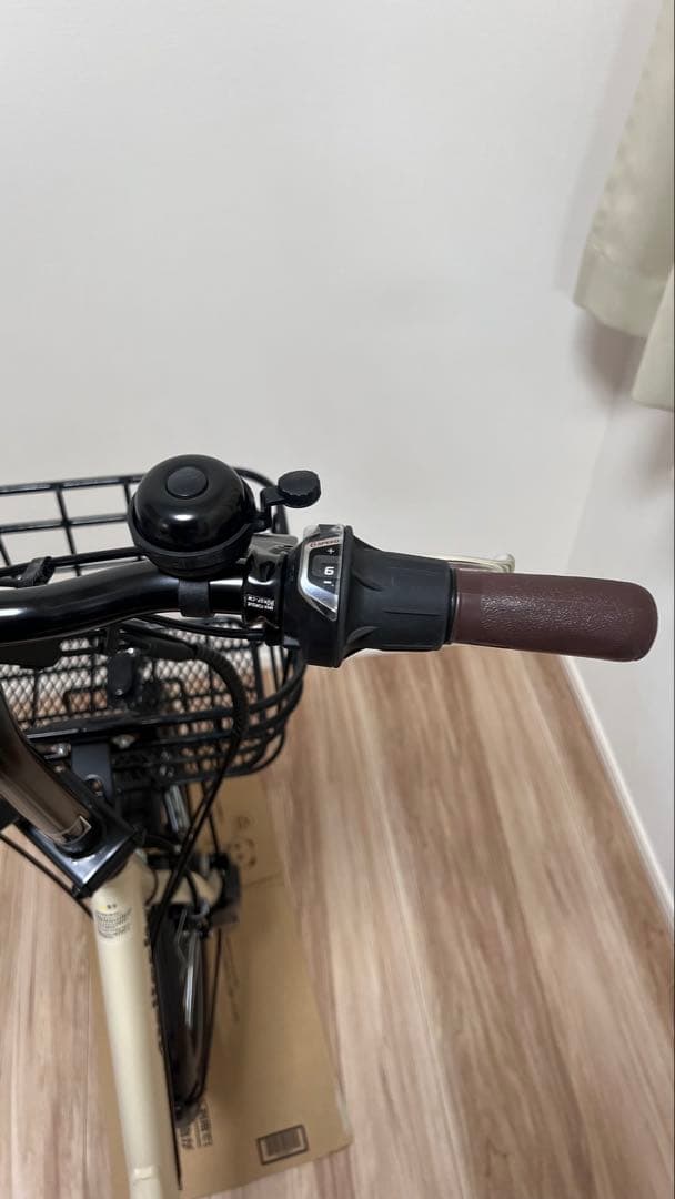 PELTECH ペルテック TDN-212L 電動アシスト自転車