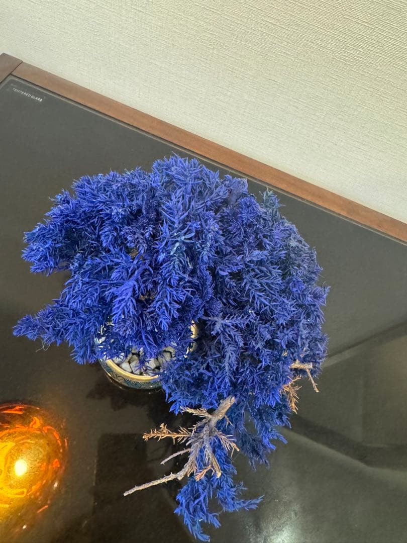 【激レア】RE BONSAI 九谷焼 RE盆栽 青【Man 岩本照愛用】