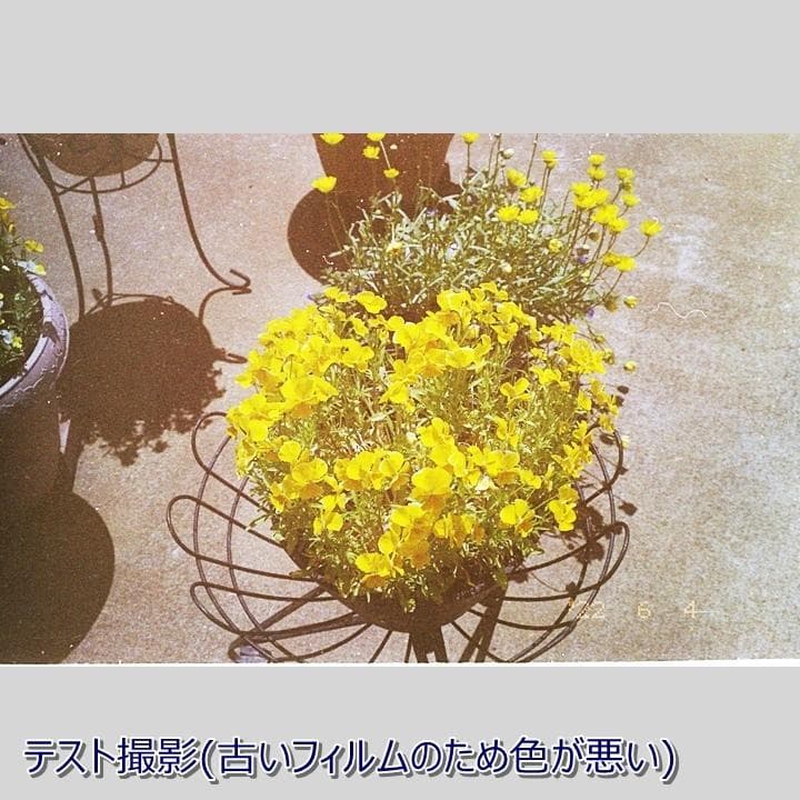 Canon New Autoboy フィルムカメラ中古 テスト撮影済　送料込