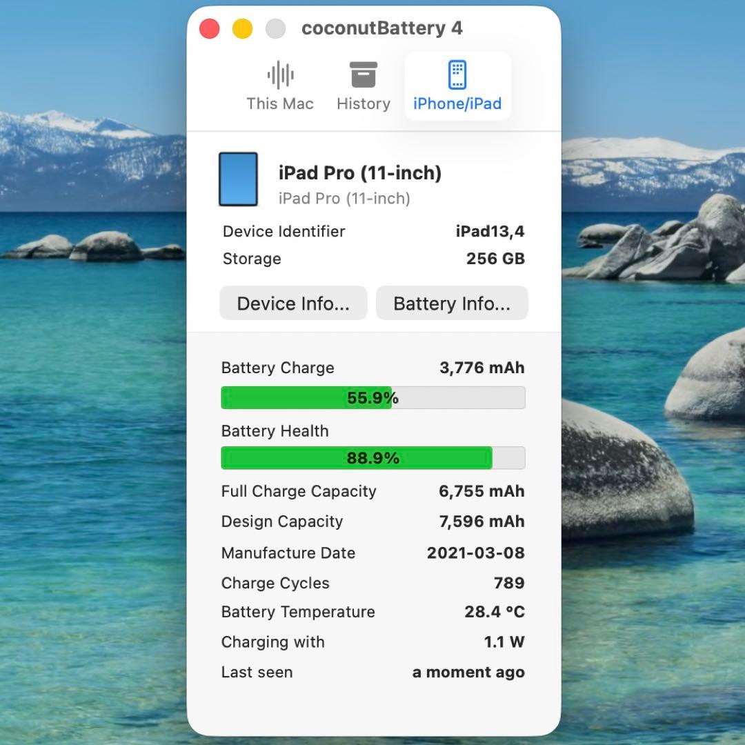 【良品】iPad Pro 11 第3世代 256GB Wi-Fi M1
