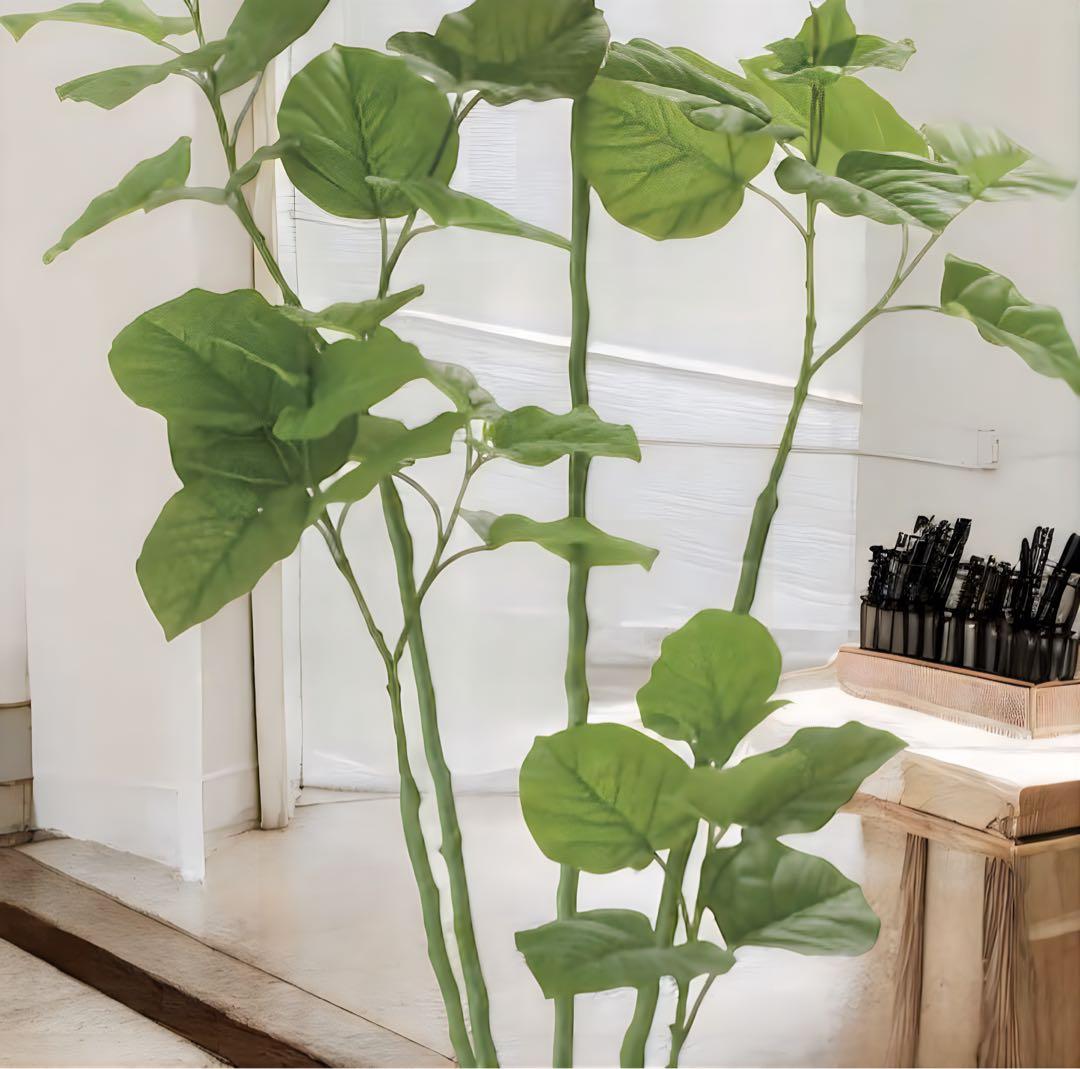 光触媒　観葉植物　ウォールグリーン　フェイクグリーン　ブランチウンベラータ1.6
