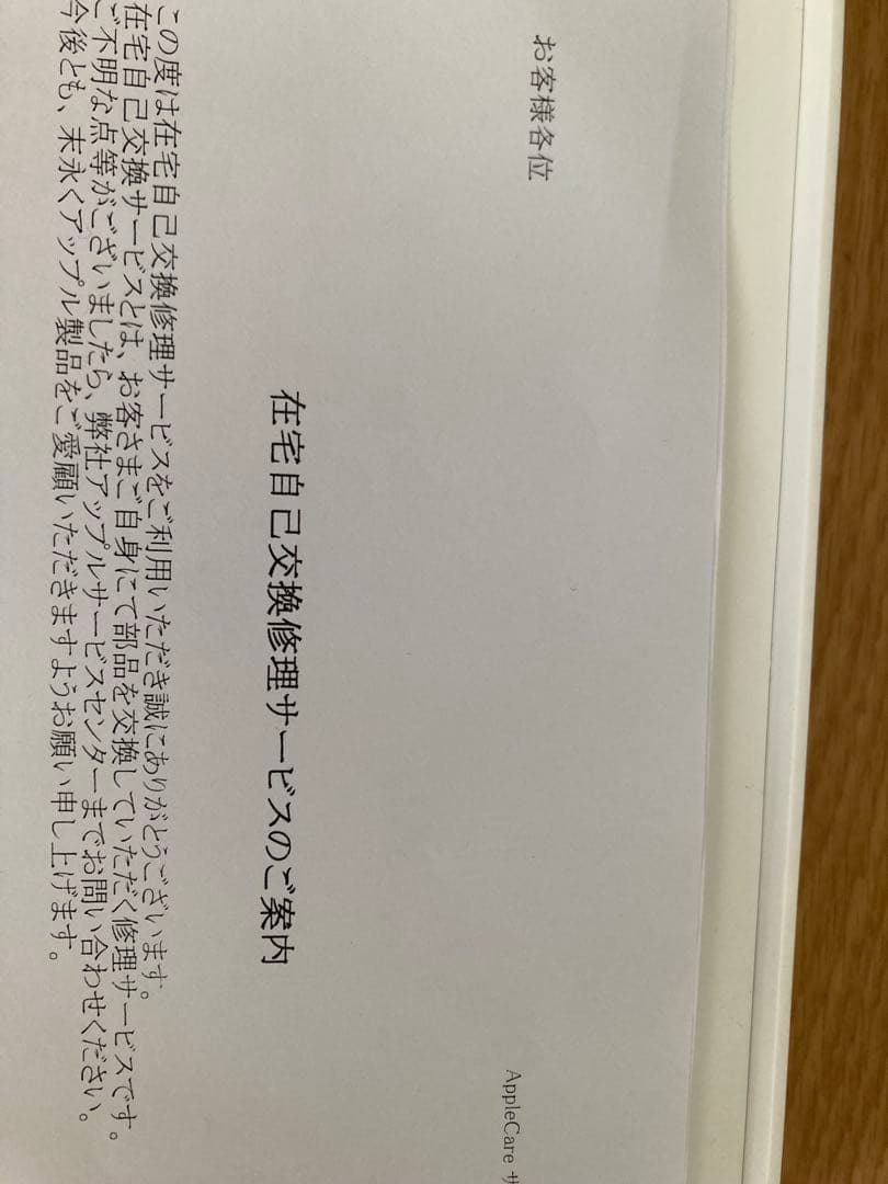 アップルケア付　iPad Pro 11 256GB スペースグレイ