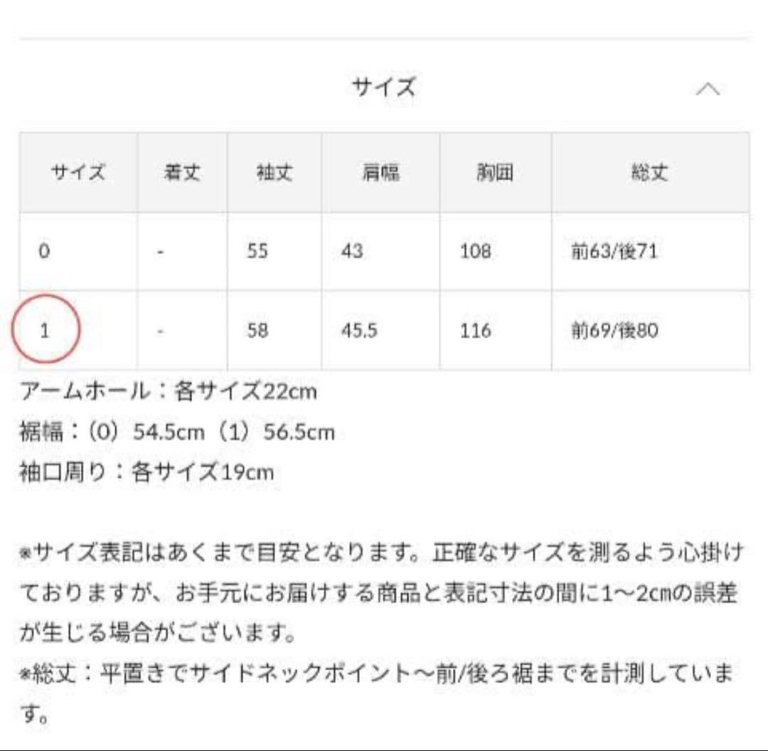 BEARDSLEY ビアズリー 白 Tブラウス サイズF トップス ブラウス