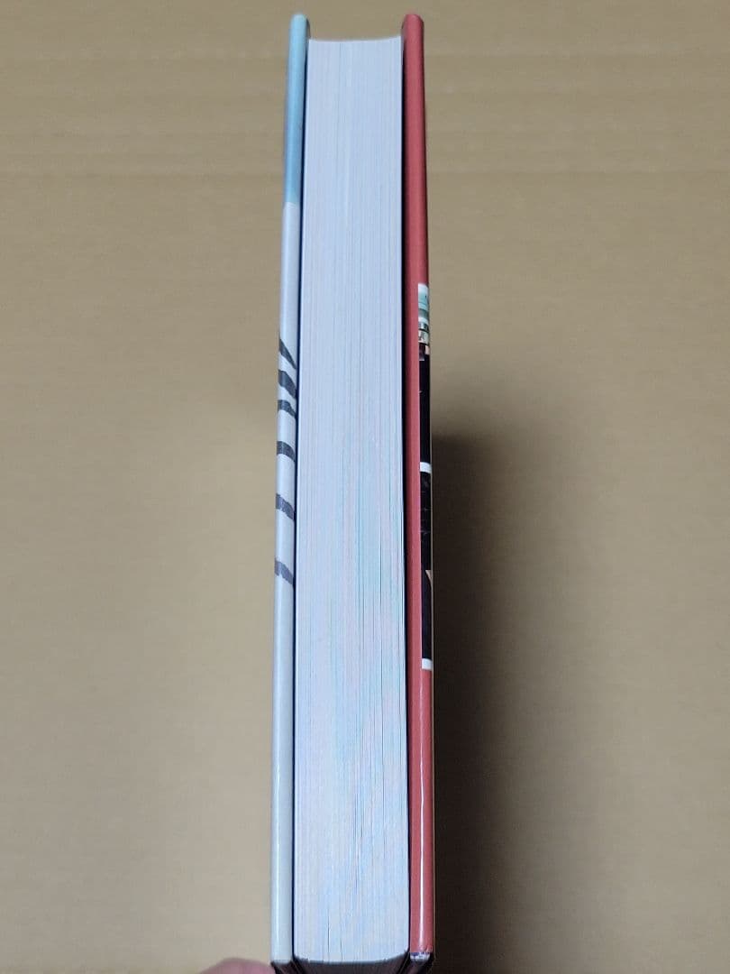 愛育社 アキ・カウリスマキ ペーター・フォン・バーグ著