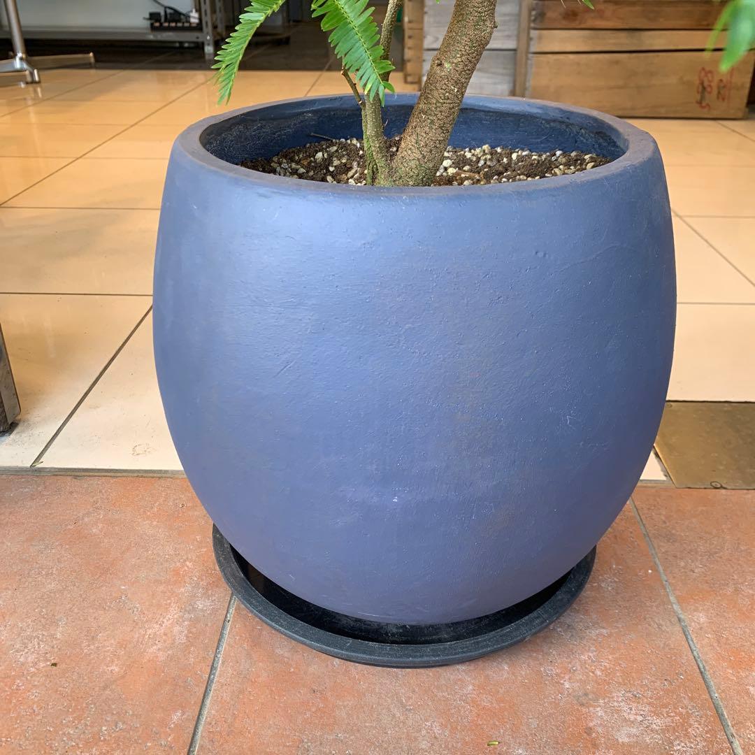 エバーフレッシュ ファイバー鉢 お皿付き