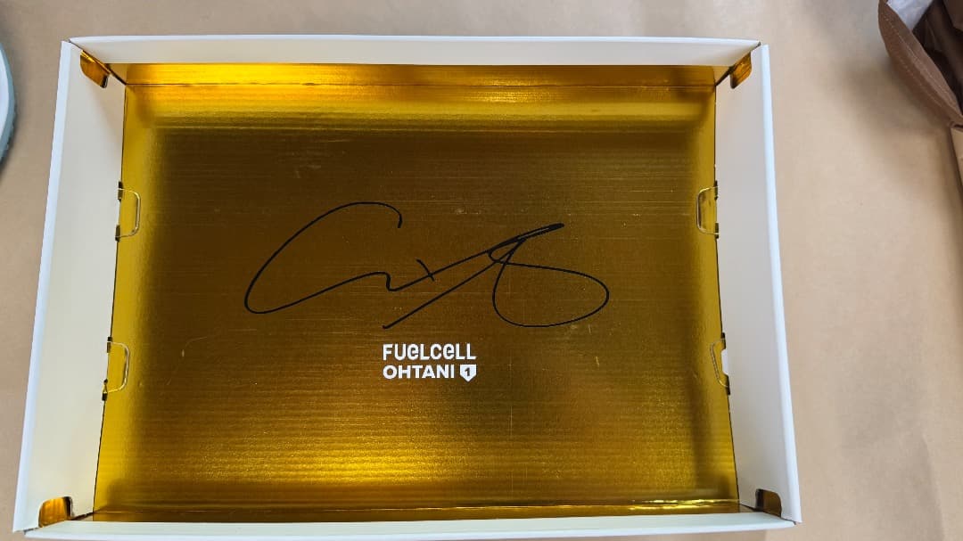 新品27.5cm Ohtani Trainer LabWork V1 限定カラー