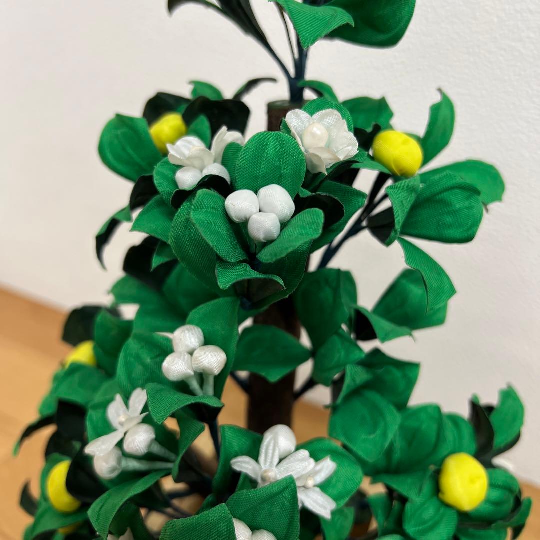 雛人形　桃の節句　桜橘　自然木　　花　大