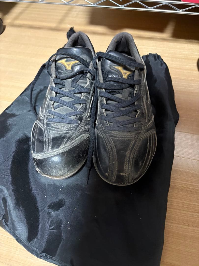 Mizuno Pro スパイク