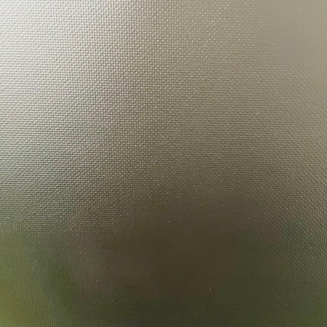 【美品】TheaterHouse 80インチ 電動スクリーン リモコン付