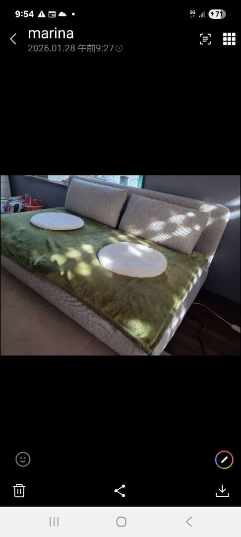 シンプルな二人掛けソファベッド