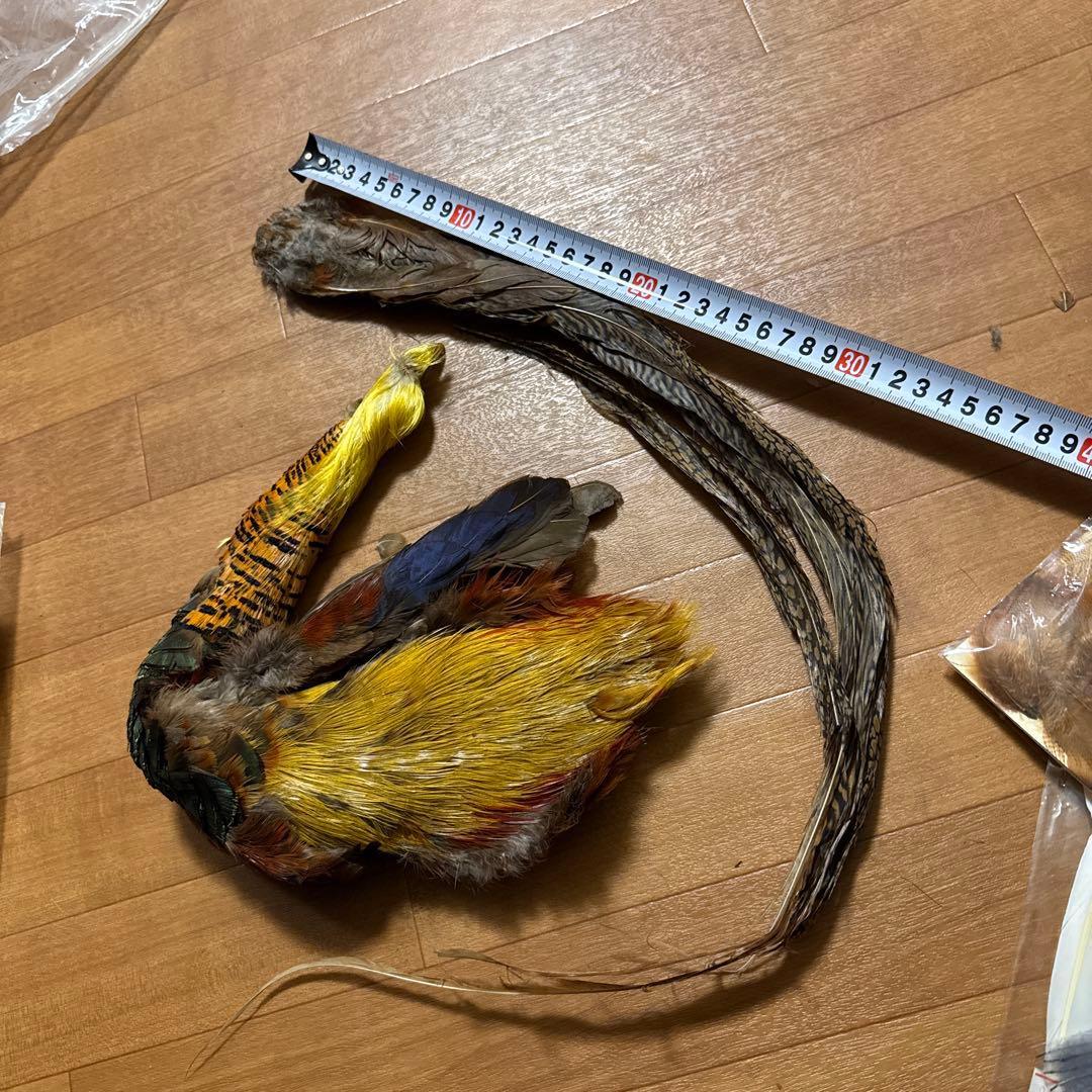 羽毛素材 まとめて