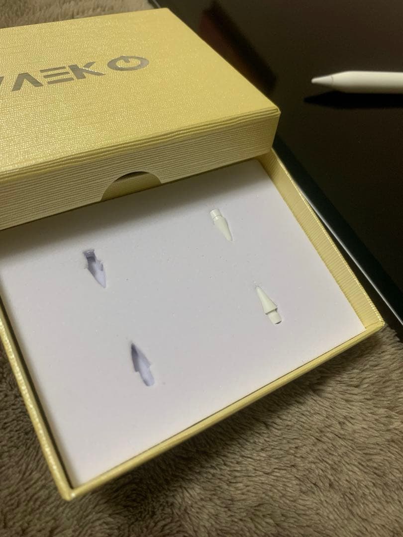 Apple iPad pro 第3世代 ペン+ペン先2個付き