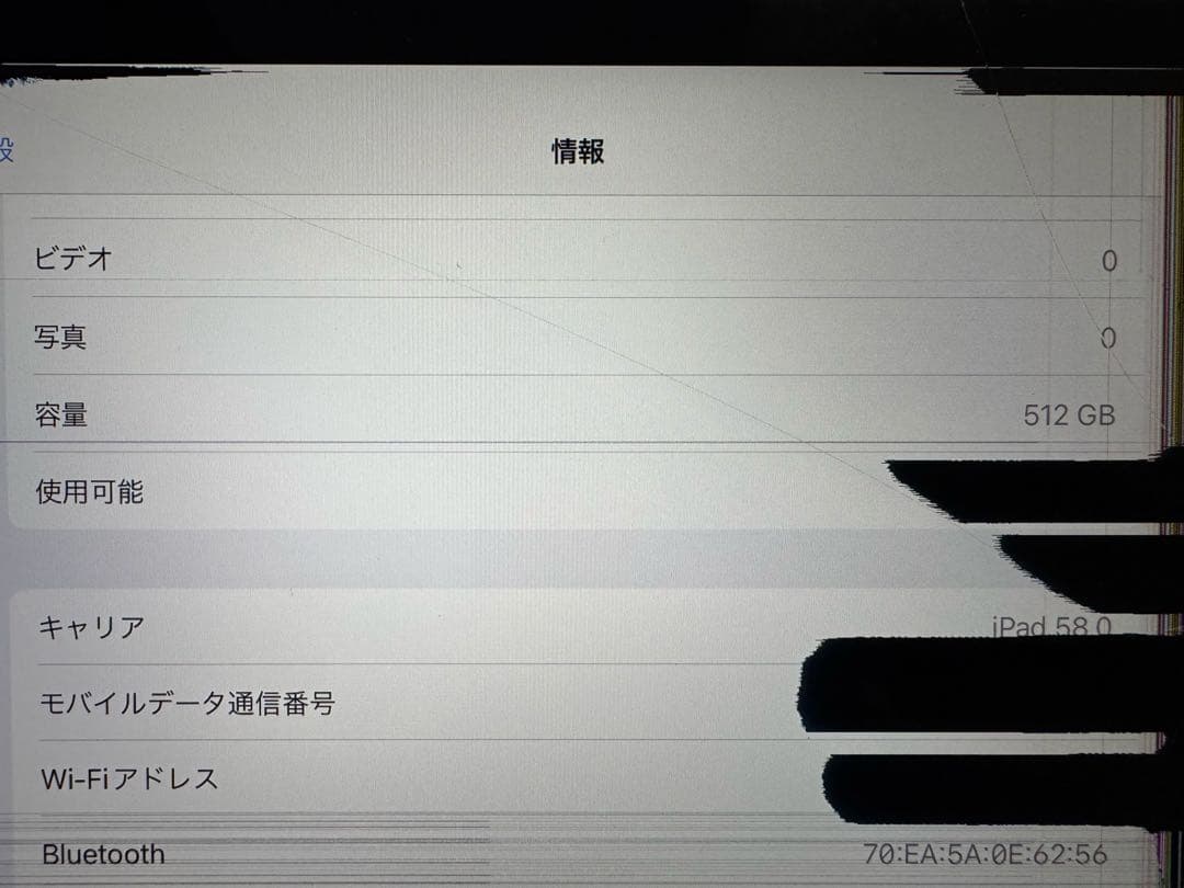 【ジャンク品】iPad Pro (11インチ) 第2世代 512GB