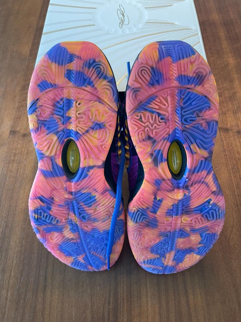 レブロン 21 SE　22cm