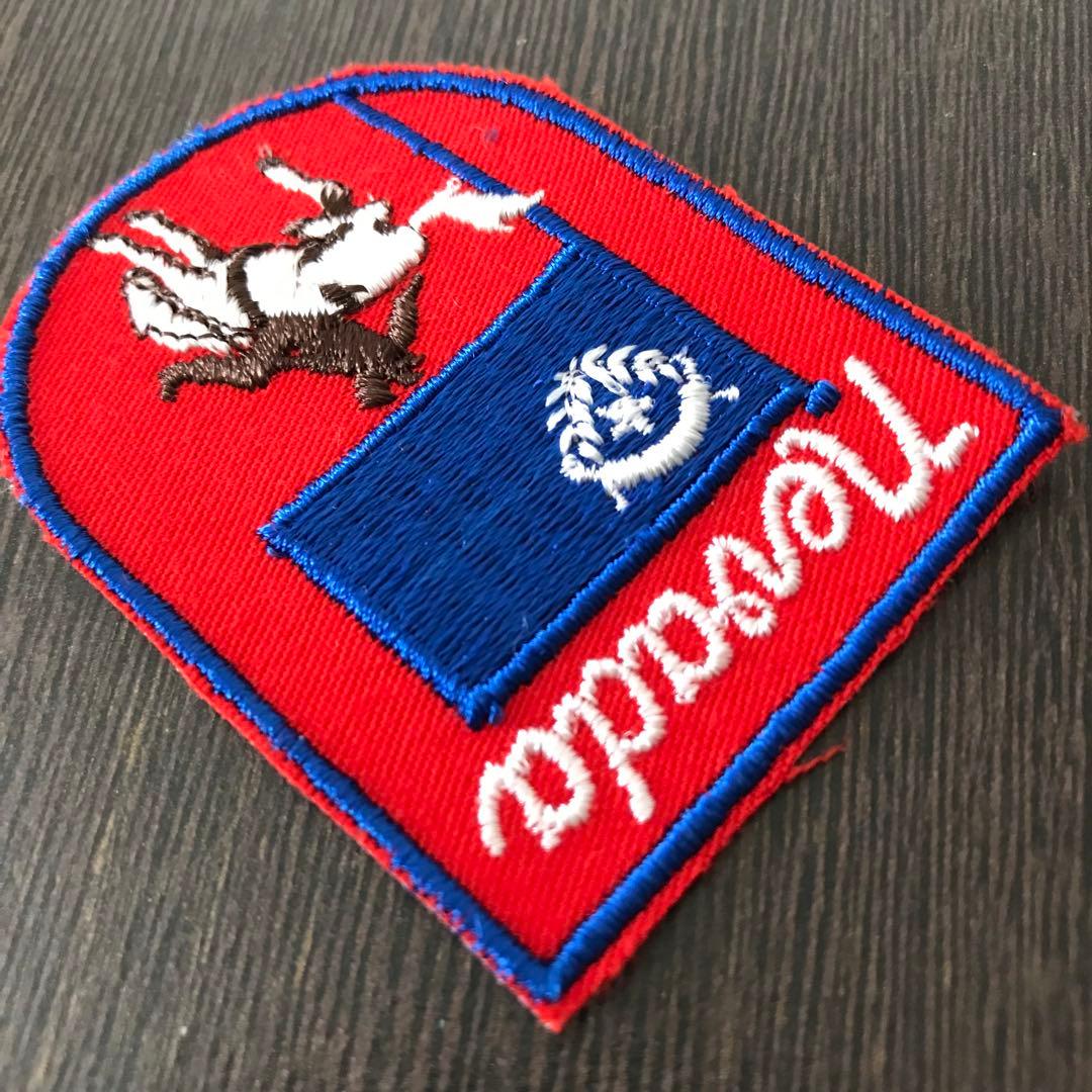 ヴィンテージ 刺繍 ワッペン 1970 1980 アメリカ ネバダ州 A