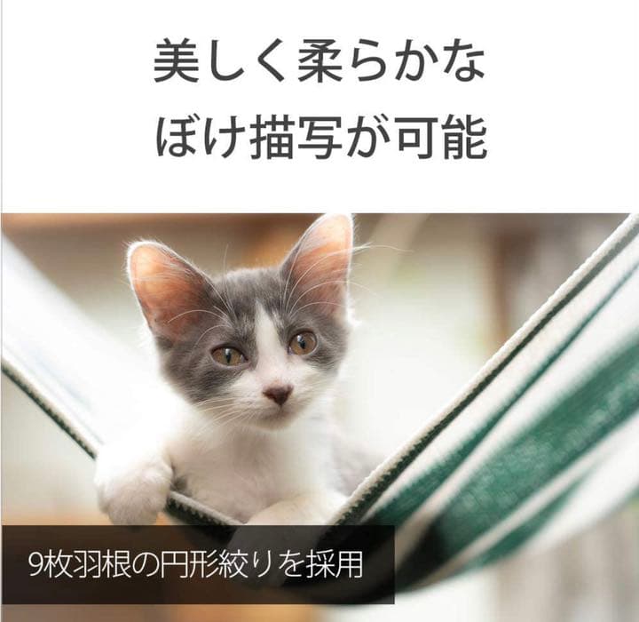 超美品 SONY FE 24-105mm F4 G OSS SEL24105G